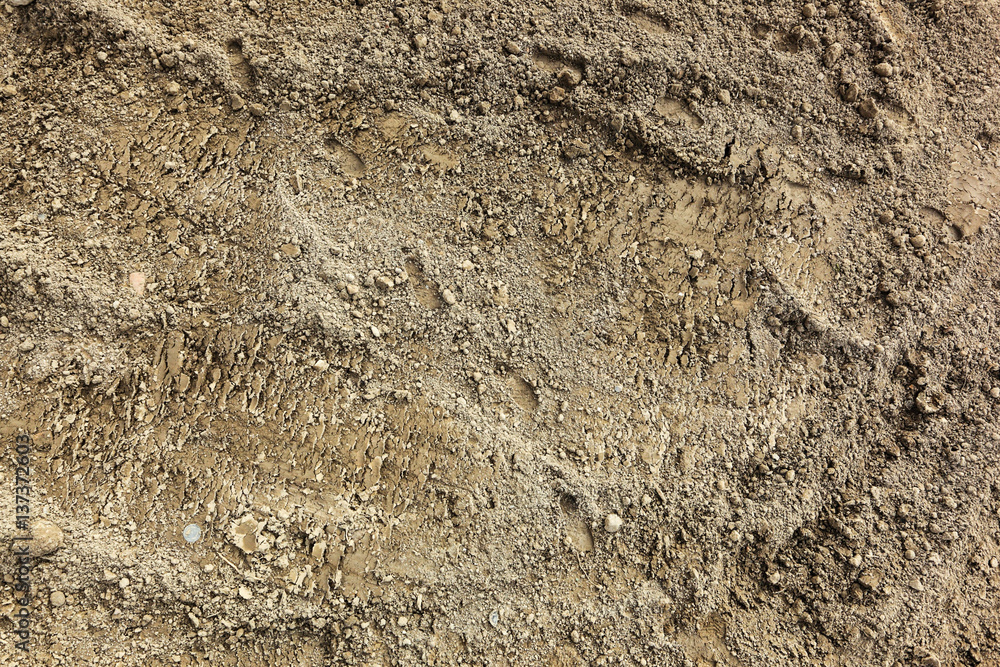Dry phage texture Dry phage texture