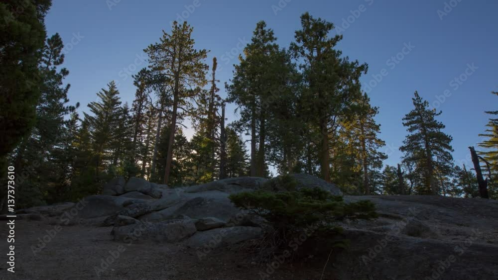 MoCo Timelapse Tracking Shot of Sunrise through Alpine Forest MoCo Timelapse Tracking Shot of Sunrise through Alpine Forest