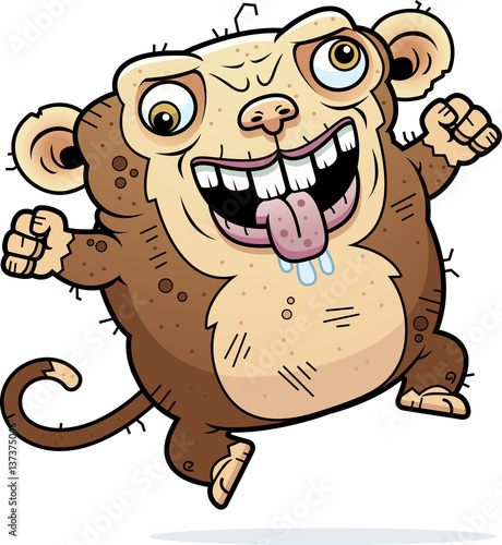 Crazy Ugly Monkey