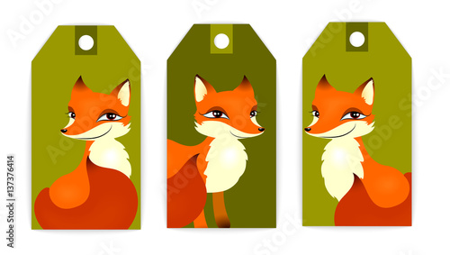 vector set of tag fox in different poses on the green background