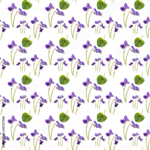 pattern of violet and green leaves