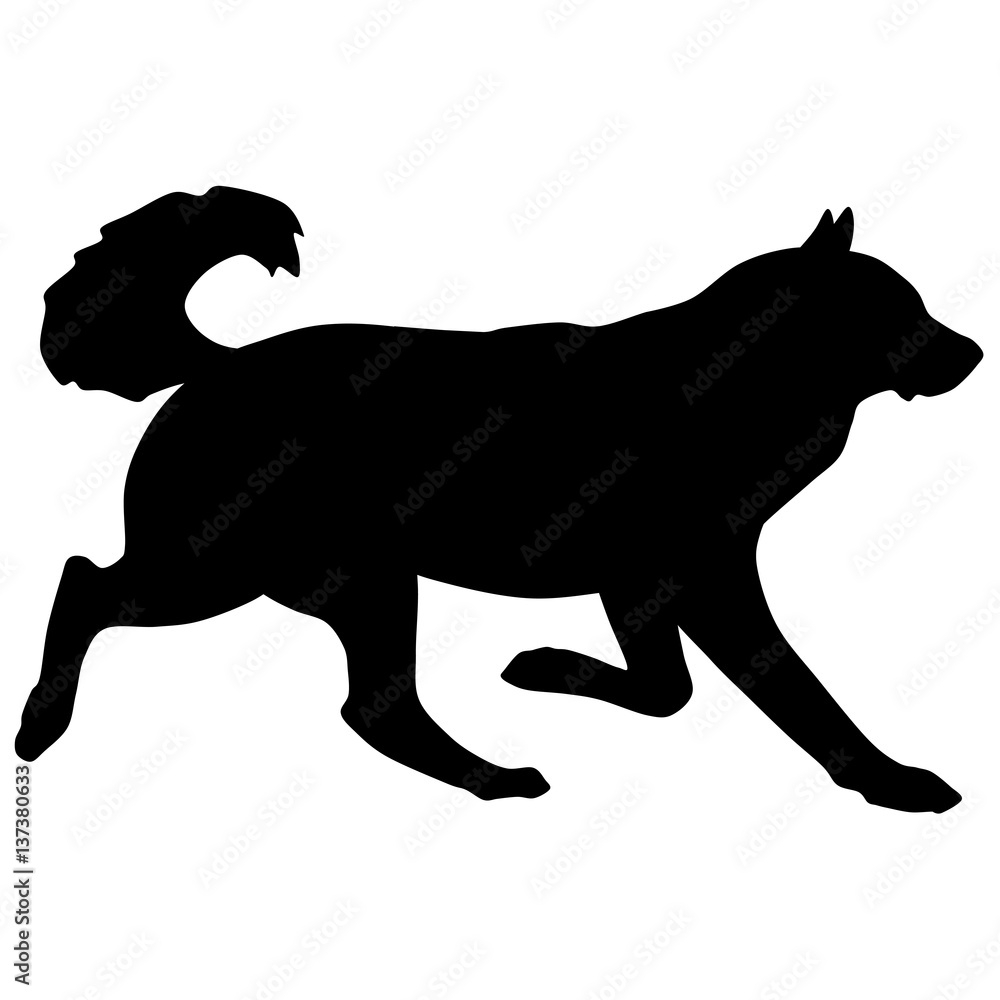 Silhouette of a dog.Vector illustration