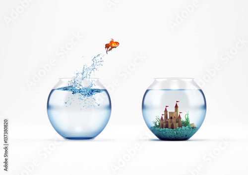 Improvement and progress concept with a jump of goldfish 3D Rendering photo