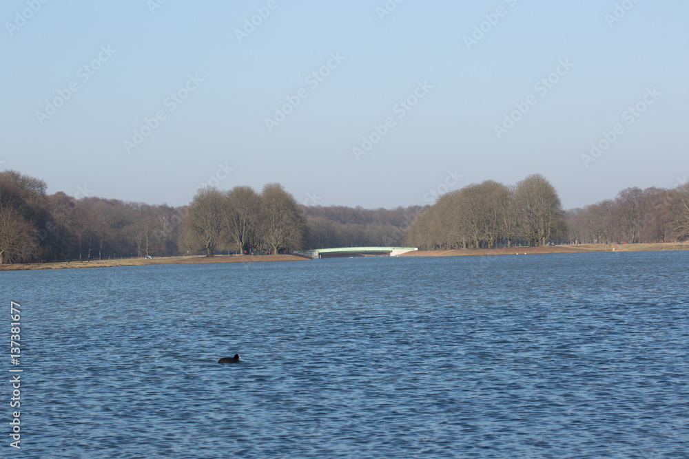 Decksteiner Weiher, Stadtwald, Köln, Winter
