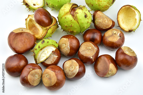  Chesnut burr split open