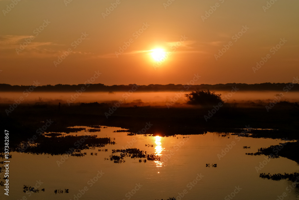 Sunrise Pantanal wetlands, Brazil