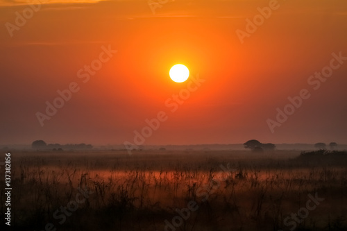 Foggy sunrise Pantanal wetlands  Brazil