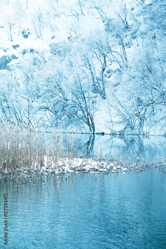      Reflection of trees under snow on lake in nature park Plitvice, Croatia 