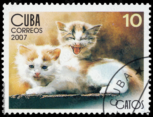 Stamp printed in Cuba shows domestic cat