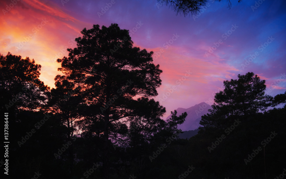 Colorful summer landscape in the Carpathian mountains. Sunset Colorful summer landscape in the Carpathian mountains. Sunset