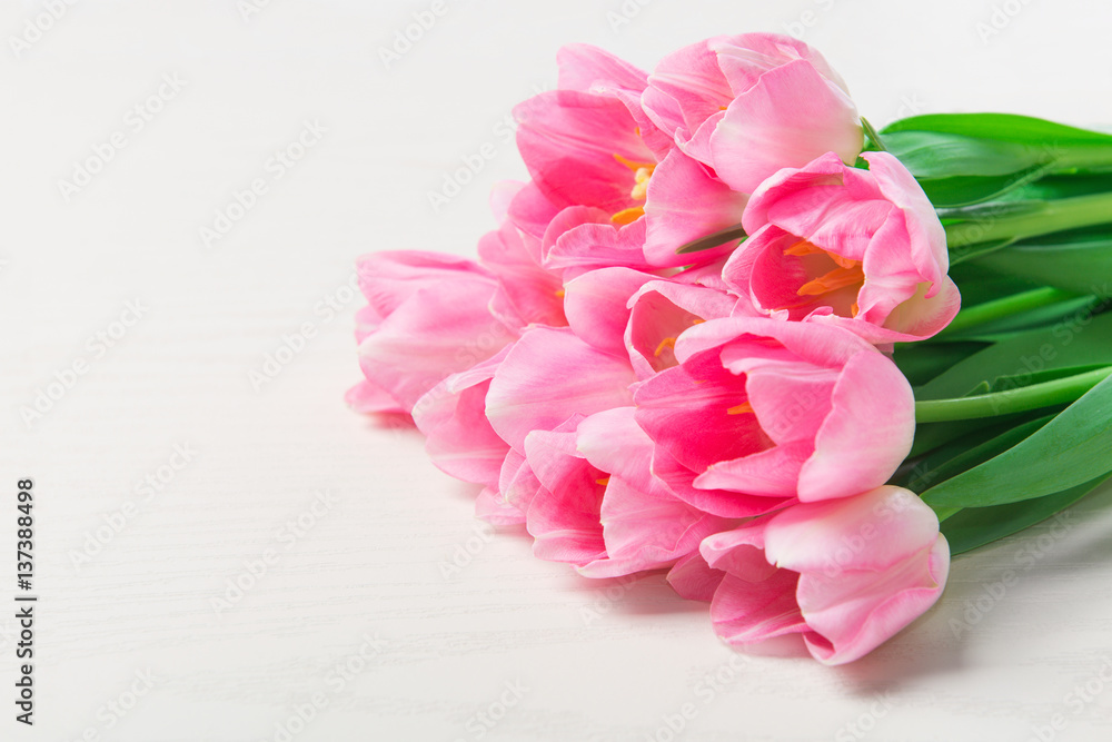 Beautiful Pink tulips flowers on white wooden background.