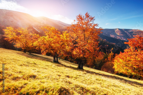 mountain range in the Carpathian Mountains in the autumn season.