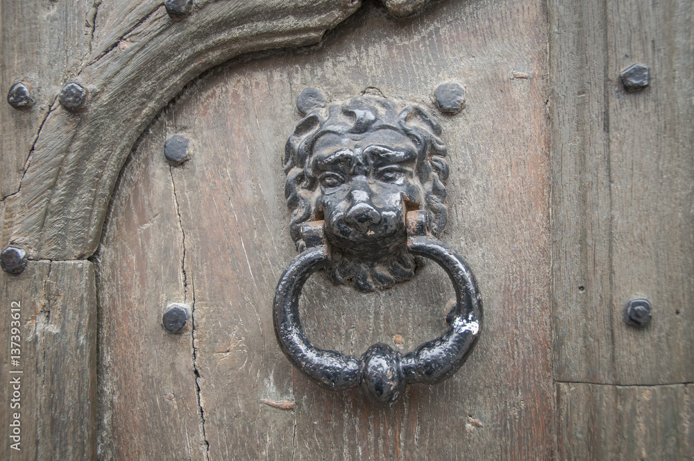 Antique Lion Door Knocker, Oxford, England Antique Lion Door Knocker, Oxford, England