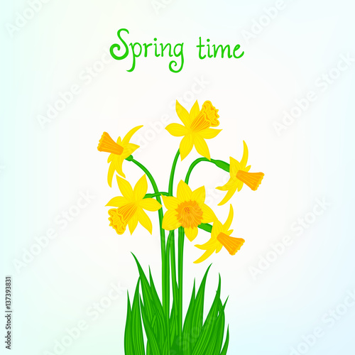 Spring card background with daffodil