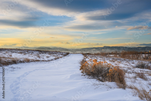 Snow-Covered Trail Lined With Goldenrod