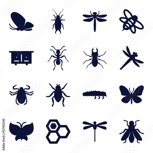 Set of 16 insect filled icons © HN Works