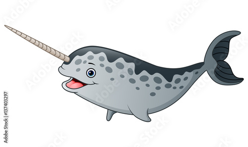 Cute cartoon narwhal