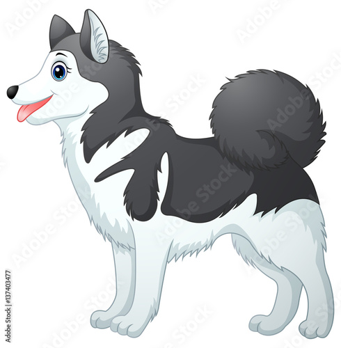 Cartoon siberian husky  