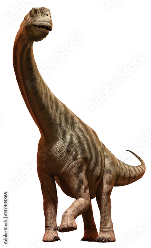 Camarasaurus