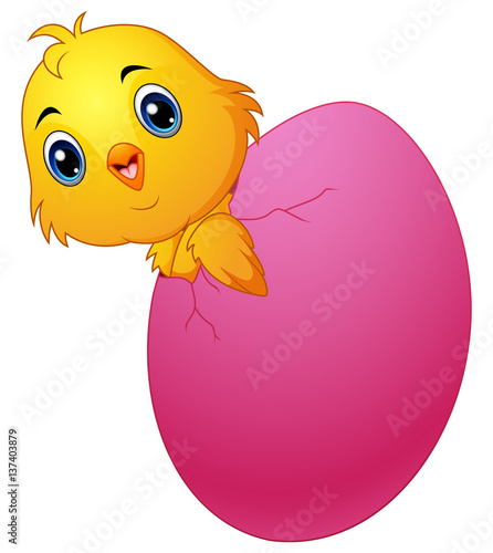 Cartoon chick hatching from an egg