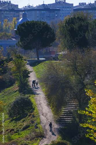 Sendero de paseo con escalera rústica en zona verde de ciudad photo