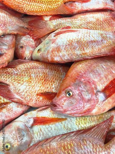Tilapia fish on Ice For Sale at the Market