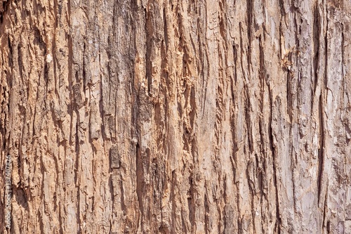 Old Rough Wooden Texture