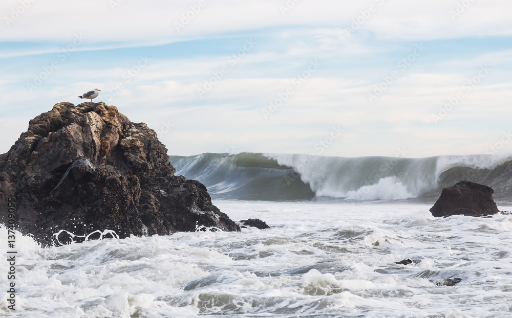 Seagull Rock and Wave. Large Pacific surf along the central coast of California on an overcast winter afternoon with a seagull watching.  