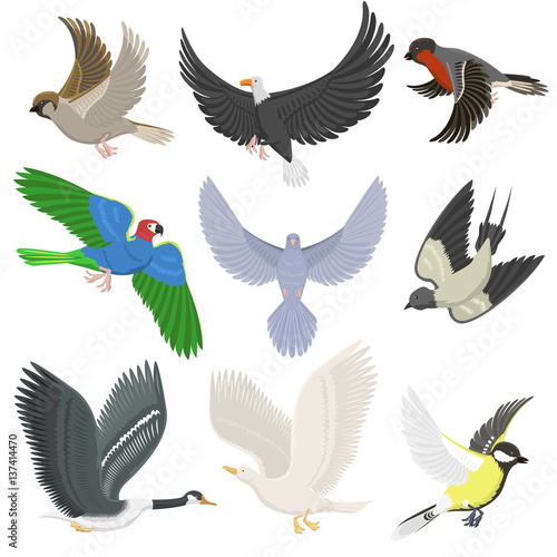 Set of different wing wild flying birds cartoon cute fauna feather flight animal silhouette. Spring freedom natural concept vector illustration.