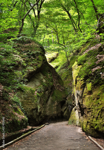 Path through rocks