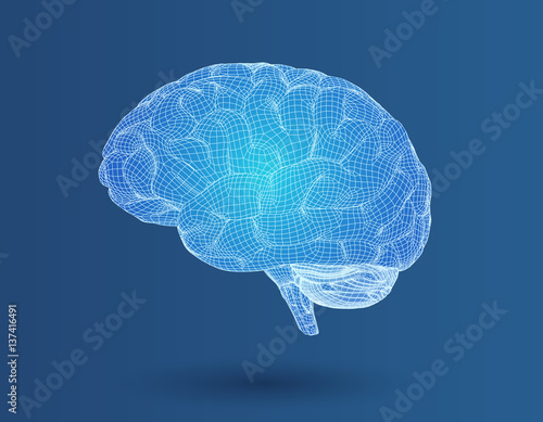 3D wireframe brain in side view on blue BG