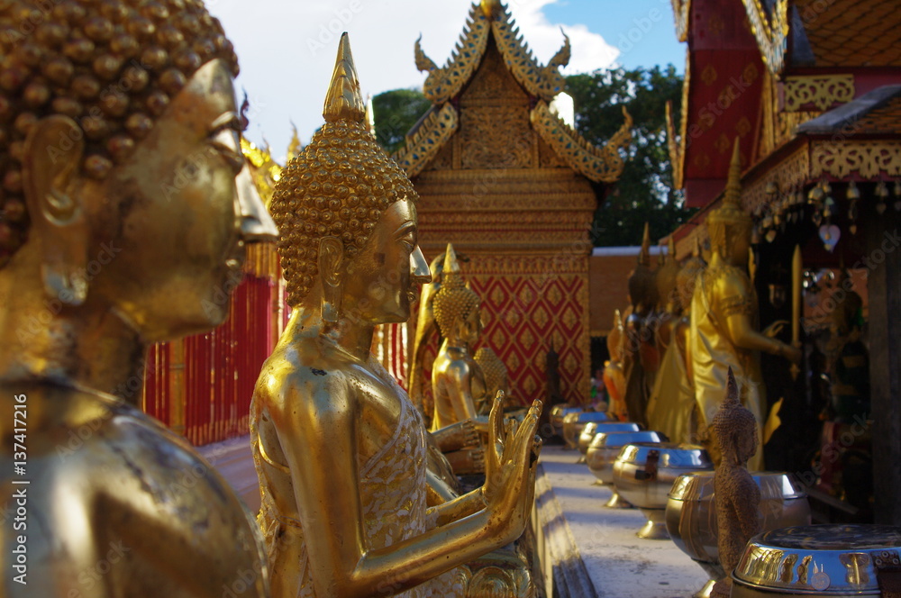 Fototapeta premium beautiful buddha statue.