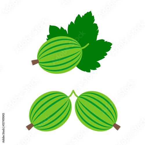 gooseberries, vector icon.