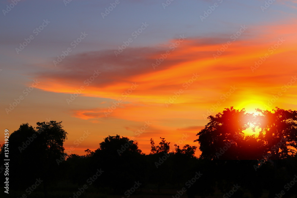 sunset on sky  colorful  cloud beautiful, and sun light with silhouette motion tree  in woodland and evening in nature