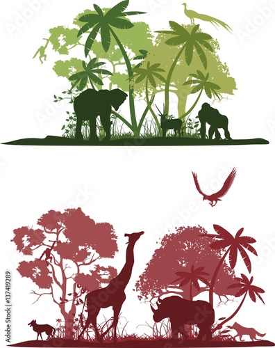 Wildlife african silhouettes of animals and nature vector