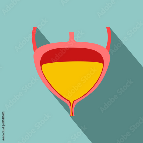 Flat modern design with shadow icons Bladder