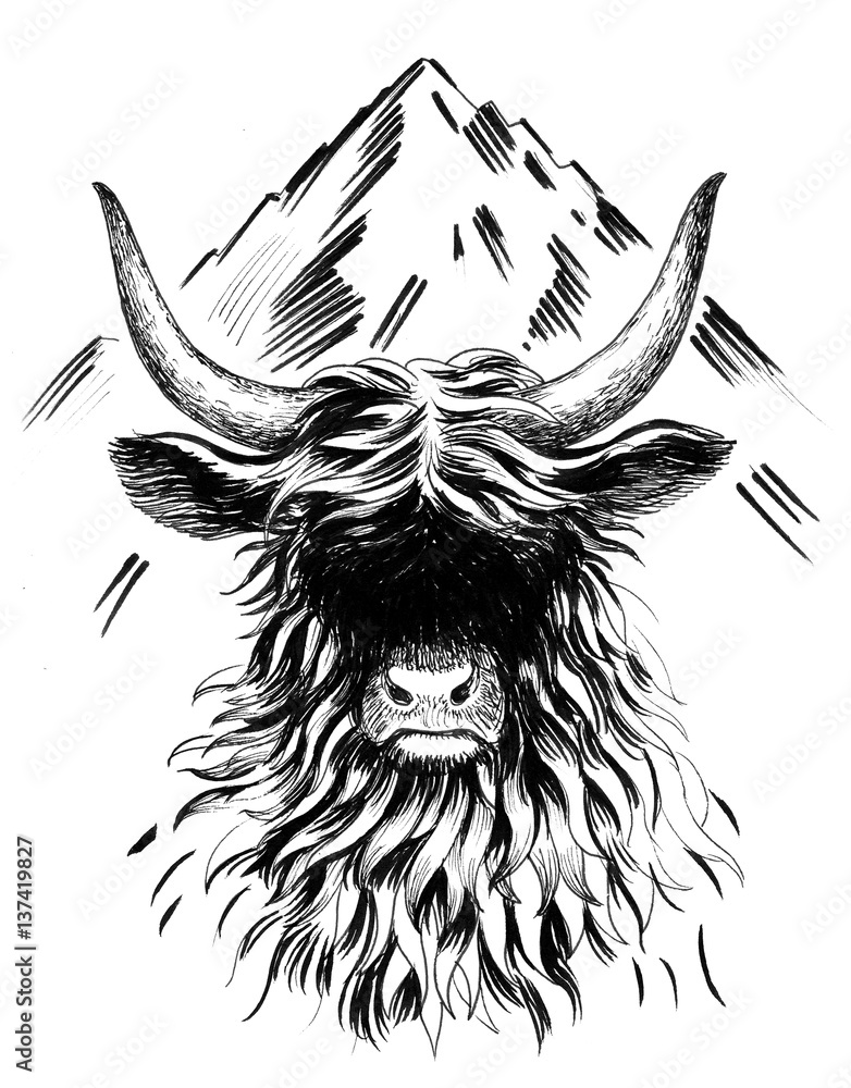 Obraz premium Bull and mountain