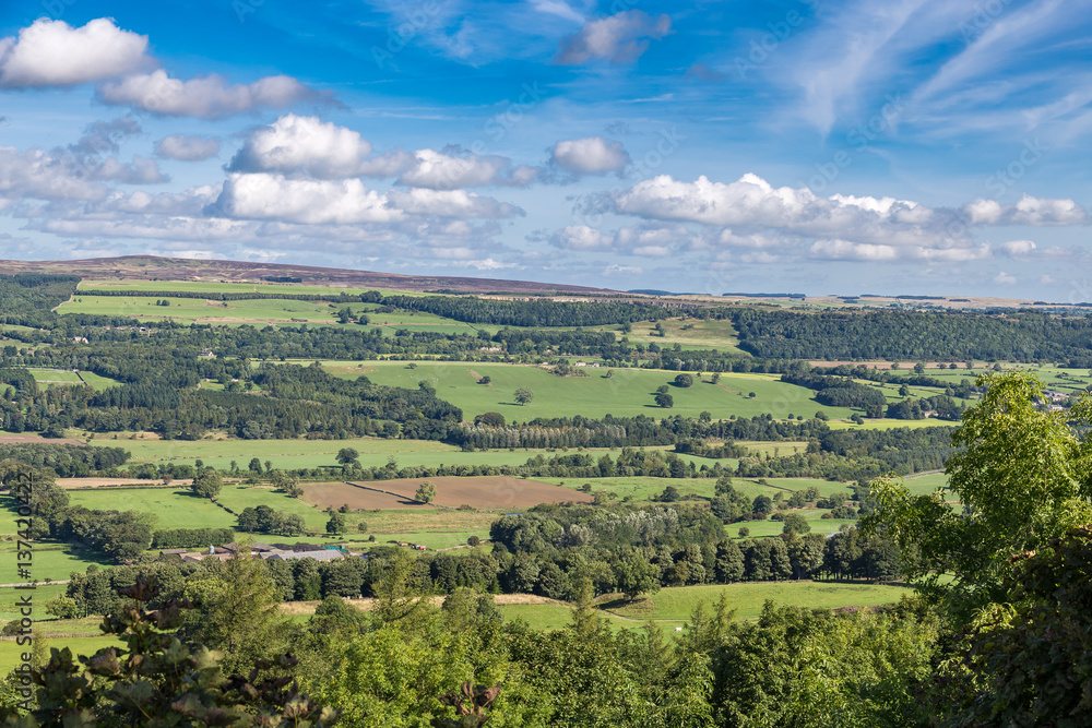 Yorkshire Dales landscape near West Witton, North Yorkshire, England, UK