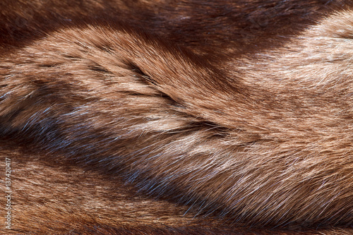 natural fur closeup