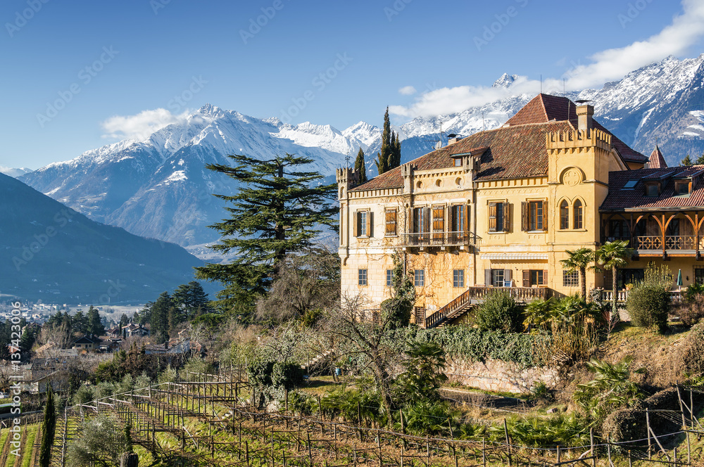 Sunny view of vineyards valley of castle Ramets near Merano, Trentino-Alto-Adige region, Italy.