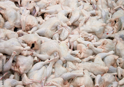 The background from the raw carcasses of chickens