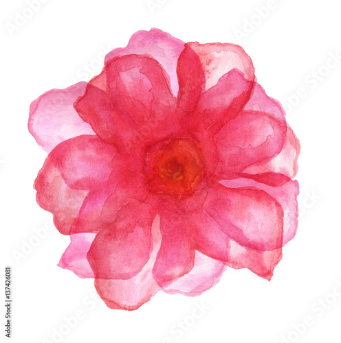 Watercolor painted flower