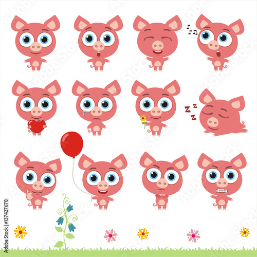 Big set cute little pig. Collection isolated cartoon pig in different poses.