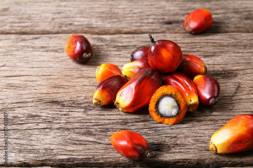 Oil palm seeds on wooden surface