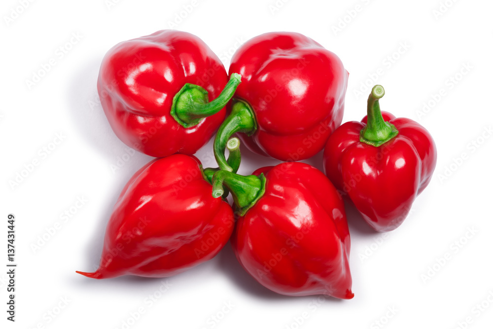 Pile of Habanero peppers (Capsicum chinense), top view, paths Pile of Habanero peppers (Capsicum chinense), top view, paths