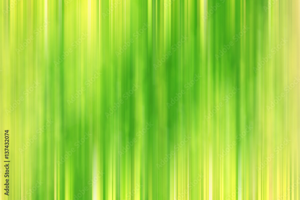 green gradient background spring concept band green gradient background spring concept band