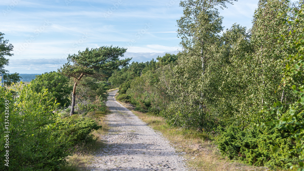 Fototapeta premium Dirt road in windy isolated island