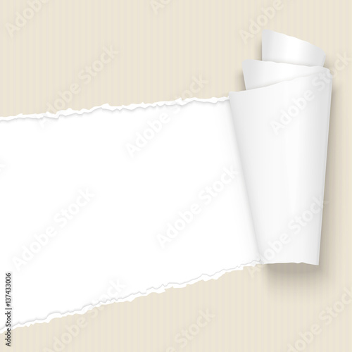 ripped open paper brown cardboard