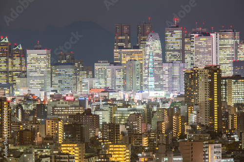 Tokyo Shinjuku with Fuji