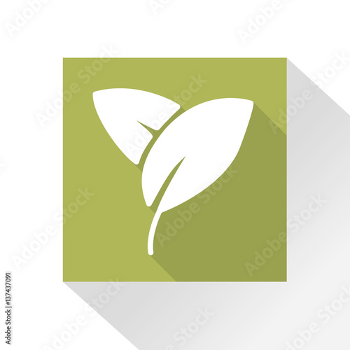 Long Shadow Blätter